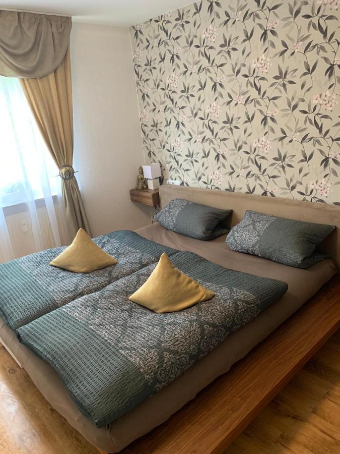 Apartment Saxonia Pirna Eksteriør billede